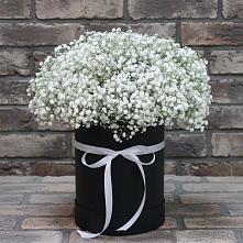 Цветочная композиция из Гипсофила в шляпной коробке #REPLACE_PRED# Новом Ставропольского края